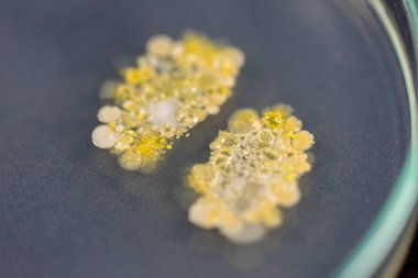 水樣中六價(jià)鉻離子濃度檢測(cè)試劑盒 水樣中六價(jià)鉻離子濃度檢測(cè)試劑盒