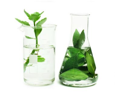 原鑫植物激素類檢測(cè)在氣相色譜中的應(yīng)用圖 原鑫植物激素類檢測(cè)在氣相色譜中的應(yīng)用圖